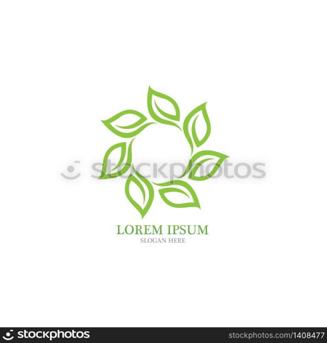 Leaf nature logo vector image