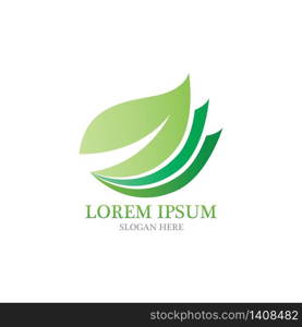 Leaf nature logo vector image