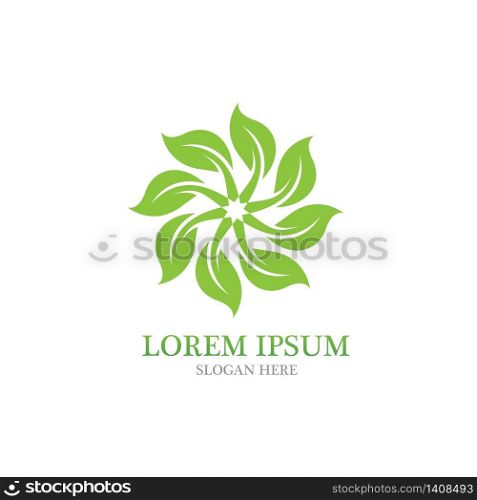 Leaf nature logo vector image