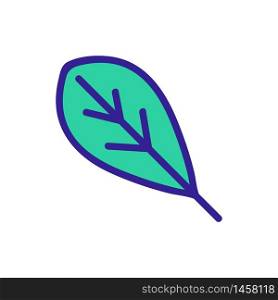 leaf of arugula organic plant icon vector. leaf of arugula organic plant sign. color symbol illustration. leaf of arugula organic plant icon vector outline illustration