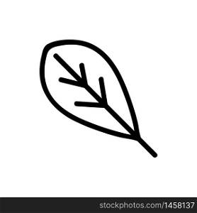 leaf of arugula organic plant icon vector. leaf of arugula organic plant sign. isolated contour symbol illustration. leaf of arugula organic plant icon vector outline illustration