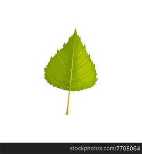 Leaf of birch tree, autumn and fall vector isolated leaf icon. Birch tree foliage, forest and plants leaves for nature autumn season. Leaf of birch tree, autumn and fall, isolated icon