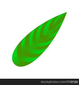 Leaf of tropical plants. Isolated items. Leaf of tropical plants. Isolated items.
