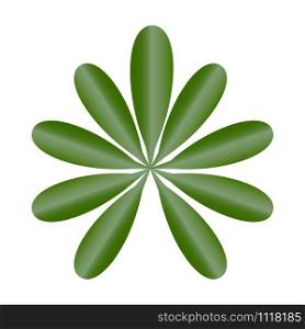 Leaf of tropical plants. Isolated items. Schefflera. Leaf of tropical plants. Isolated items. Schefflera.