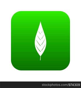 Leaf of willow icon digital green for any design isolated on white vector illustration. Leaf of willow icon digital green