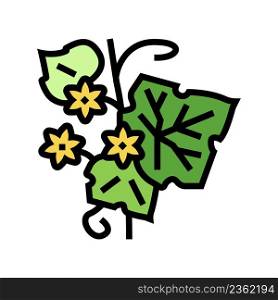 leaf plant color icon vector. leaf plant sign. isolated symbol illustration. leaf plant color icon vector illustration