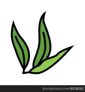 leaf plant mango color icon vector. leaf plant mango sign. isolated symbol illustration. leaf plant mango color icon vector illustration