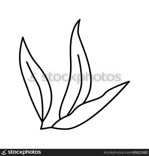 leaf plant mango line icon vector. leaf plant mango sign. isolated contour symbol black illustration. leaf plant mango line icon vector illustration