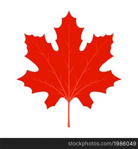 Leaf red maple maple vector canada icon. Leaf maple illustration. Leaf vector symbol maple. Clip art leaf vector