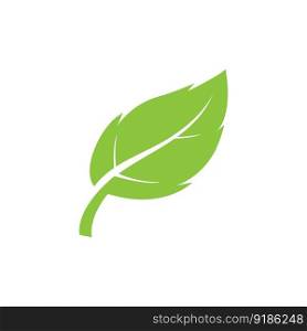 leaf&rsquo;s logo icon vector illustration template design