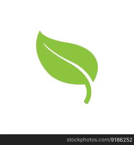 leaf&rsquo;s logo icon vector illustration template design