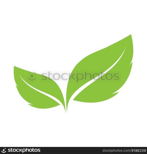 leaf’s logo icon vector illustration template design