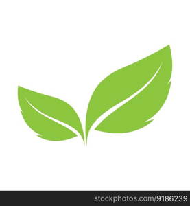 leaf’s logo icon vector illustration template design