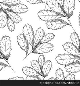 Leaf seamless pattern. Engraved style. Hand drawn vector illustration. Design for vintage packaging.. Leaf seamless pattern. Engraved style. Hand drawn vector illustration.