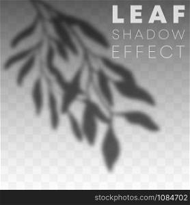 Leaf shadow overlay effect on transparent background. Vector illustration.. Leaf shadow overlay effect on transparent background. Vector illustration