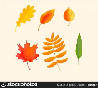 Leaf silhouette collection isolated on soft pastel background. Autumn foliage. Vector Illustration.. Leaf silhouette collection isolated on soft pastel background. Autumn foliage