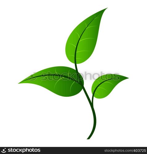 Leaf single icon isolated on white background. Leaf single icon