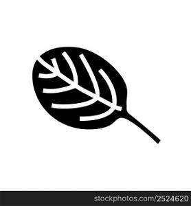 leaf spinach glyph icon vector. leaf spinach sign. isolated contour symbol black illustration. leaf spinach glyph icon vector illustration