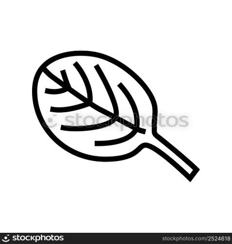leaf spinach line icon vector. leaf spinach sign. isolated contour symbol black illustration. leaf spinach line icon vector illustration