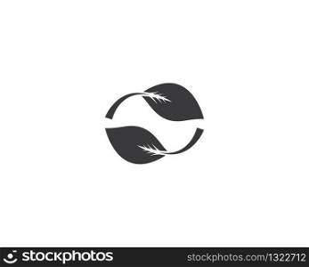 Leaf symbol vector icon illustration