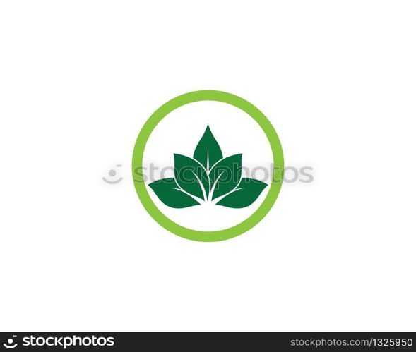 Leaf symbol vector icon illustration