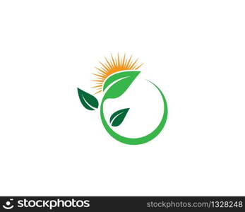 Leaf symbol vector icon illustration