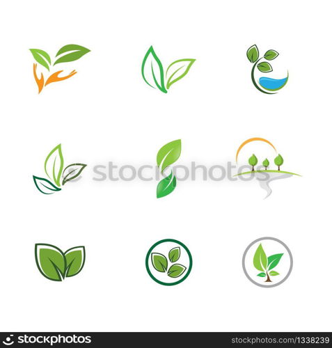 Leaf symbol vector icon illustration