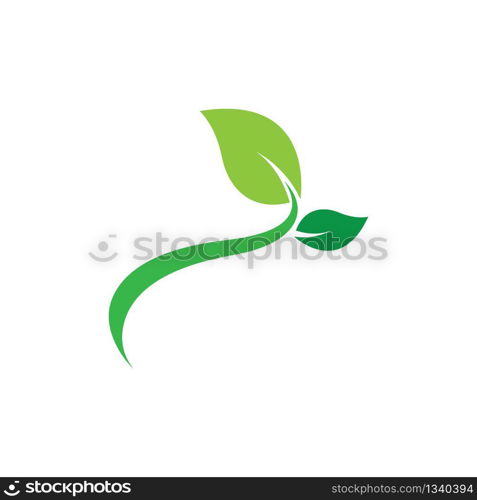 Leaf symbol vector icon illustration