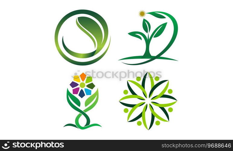 Leaf Template Vector Set