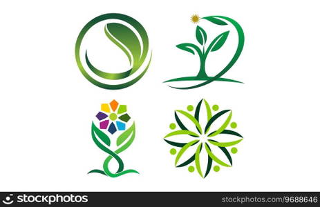 Leaf Template Vector Set
