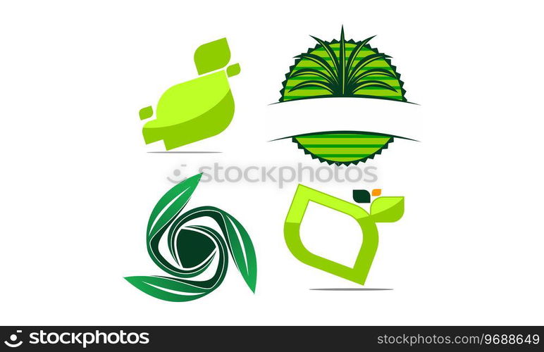 Leaf Template Vector Set