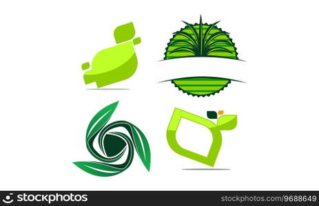 Leaf Template Vector Set
