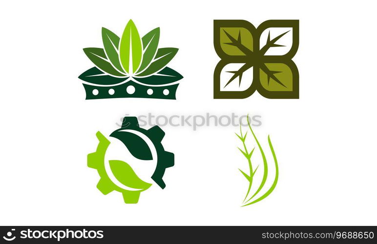 Leaf Template Vector Set