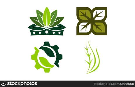Leaf Template Vector Set