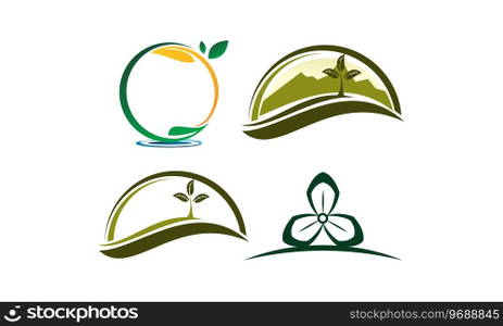 Leaf Template Vector Set