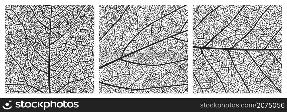 Leaf texture pattern with veins and cells. Close up leaf pattern background of vector plant or tree foliage monochrome mosaic structure, vascular tissue macro ornament of birch or maple tree leaf. Leaf texture pattern with veins and cells