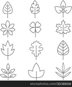 Leaf thin line vector icons. Leaf thin line vector icons. Linear leaves oak and maple illustration