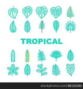 leaf tropical plant palm jungle icons set vector. summer exotic, green foliage, nature forest, botanical tree, floral garden, spring leaf tropical plant palm jungle color line illustrations. leaf tropical plant palm jungle icons set vector
