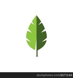leaf vector icon illustration template design