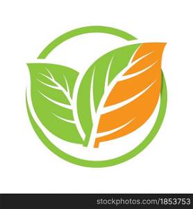 Leaf vector logo template icon design