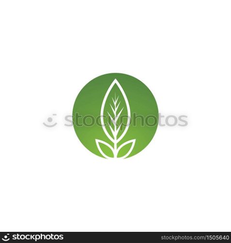 leaf vector template icon design