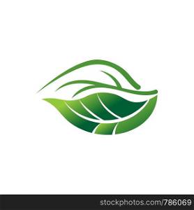 leaf with a gradient logo template