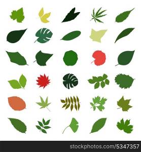 leaf2. Leaf from trees of different colour. A vector illustration