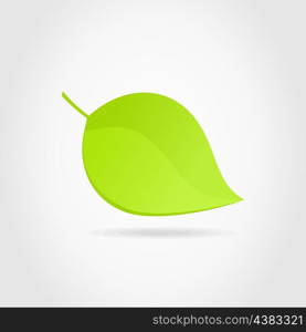 leaf3. Green leaf on a white background. A vector illustration