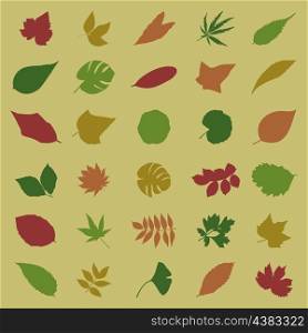 leaf5. Leaf from trees of different colour. A vector illustration