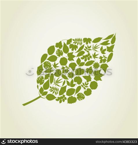 leaf6. leaf made from leafs trees. A vector illustration