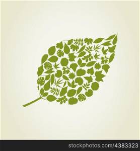 leaf6. leaf made from leafs trees. A vector illustration