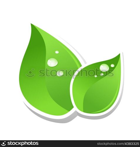 leaf8. Water drops on green leaf of a tree. A vector illustration