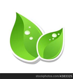 leaf8. Water drops on green leaf of a tree. A vector illustration