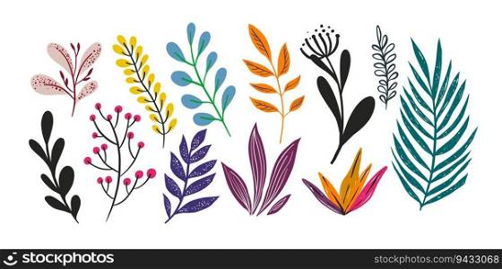 Leafage of tree or plants, isolated foliage diversity. Silhouettes and colorful art of tropical houseplants. Vegetation and botany, botanic ornament or adornment. Vector in flat style illustration. Foliage and leafage of tree or plants, vector